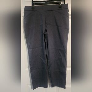 Briggs New York Women’s Blue  Stretch Pant